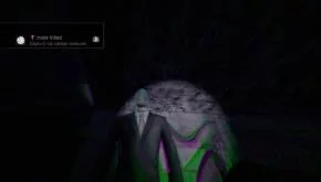 Slender: The Arrival - recenzja (PS4) 6 Slender The Arrival 1 1024x576