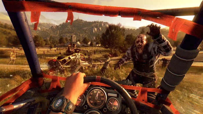 Dying light Following