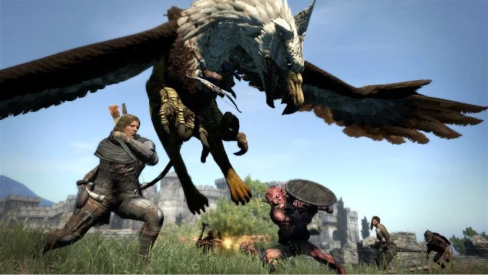 Dragons Dogma