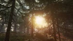 Zaginięcie Ethana Cartera - recenzja 7 The Vanishing of Ethan Carter 20150821011856