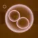 e71899a8ad3e1d5b690a1519bea7e6a1