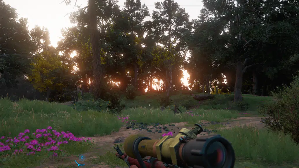 Far Cry® New Dawn (7)