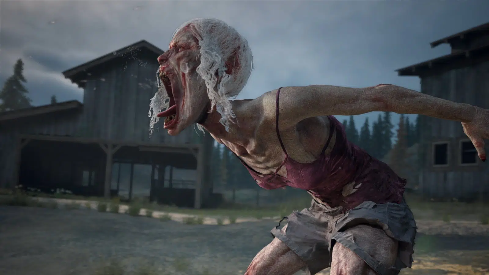 Days Gone