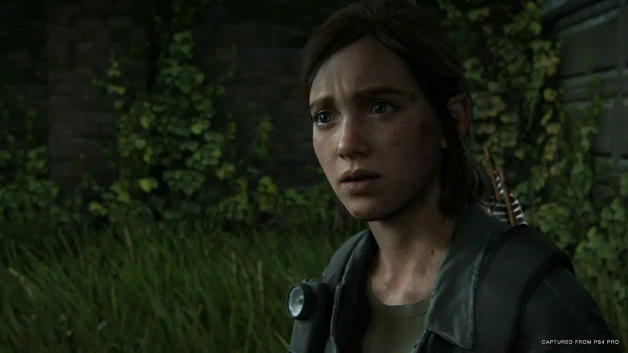 The Last Of Us 2