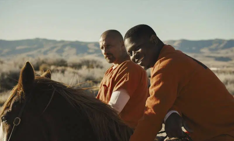 Przegląd najciekawszych filmów z 2019 roku, o których mogliście nie słyszeć 3 The Mustang