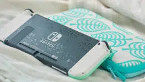 Limitowaną Wersja Konsoli Z Motywem Animal Crossing New Horizons (4)