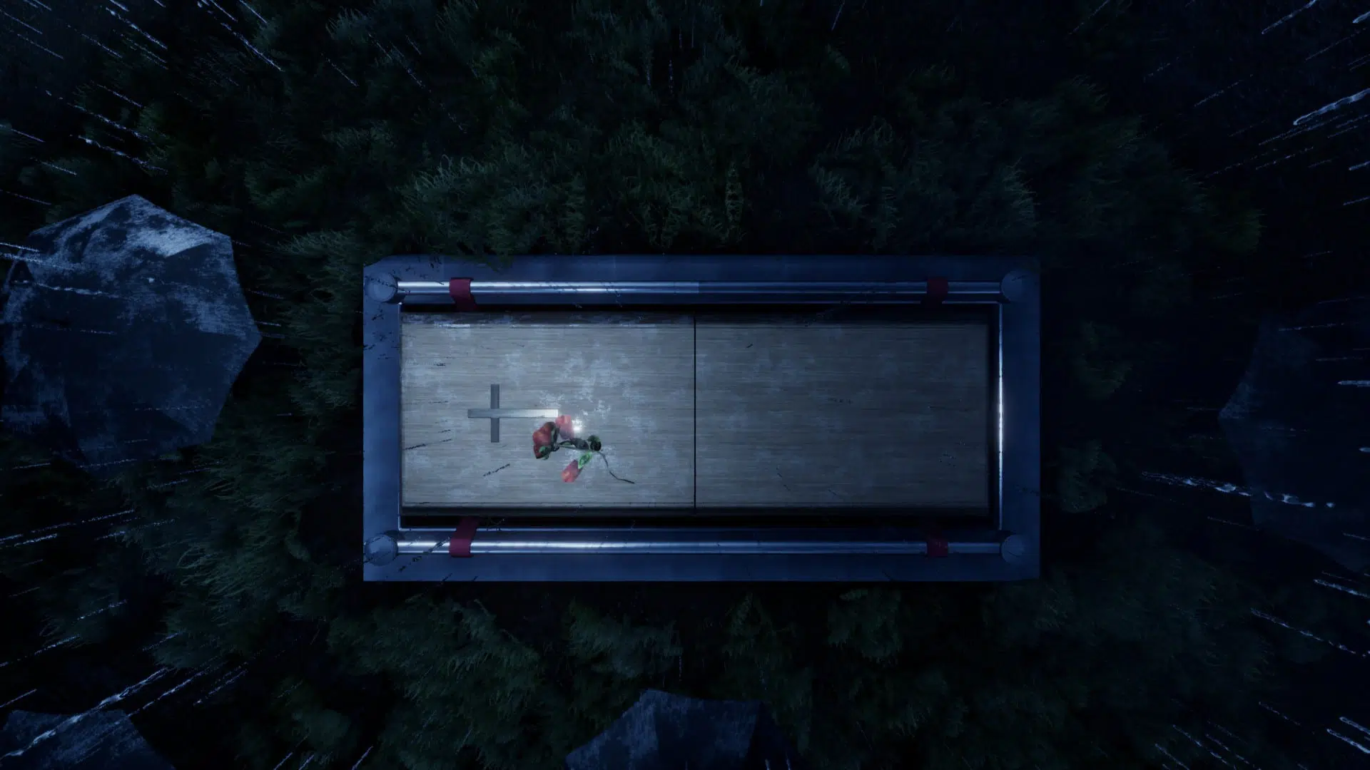 The Suicide Of Rachel Foster (2)