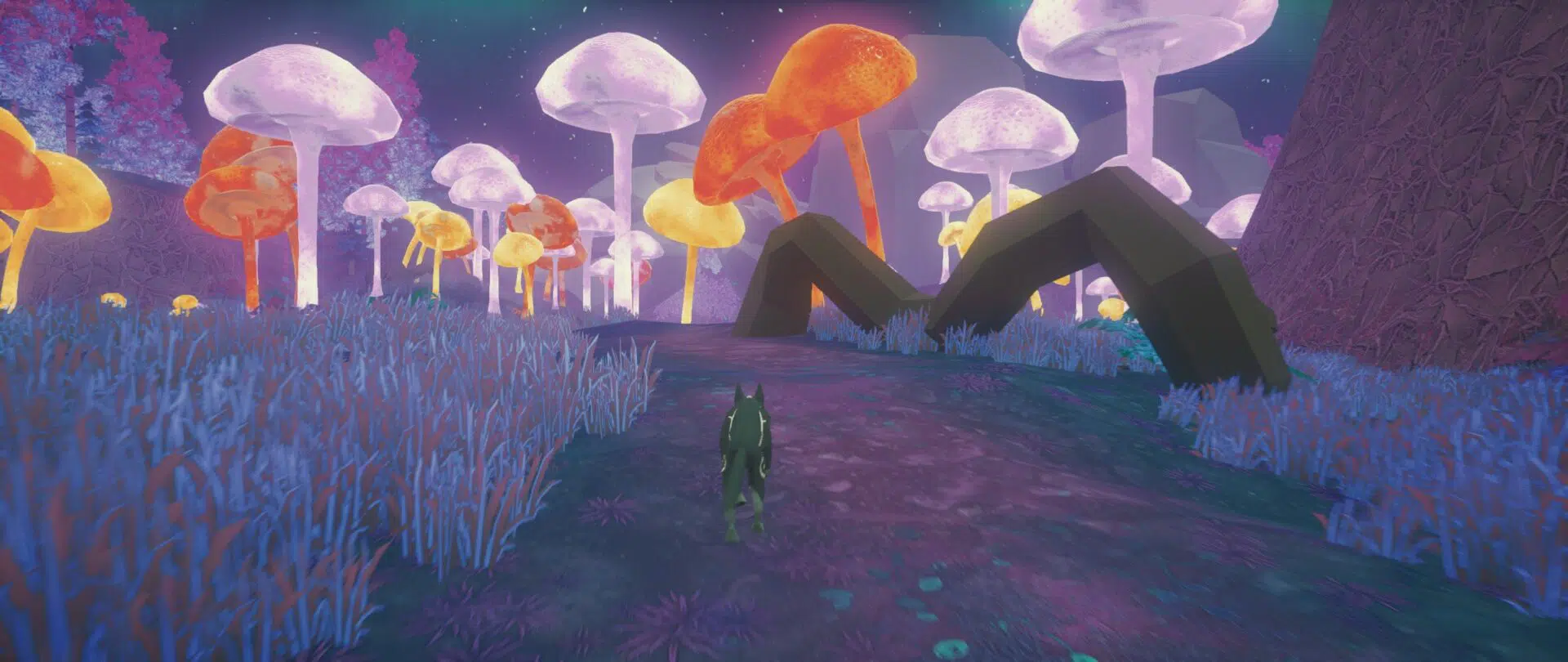 Paws And Soul Recenzja 2