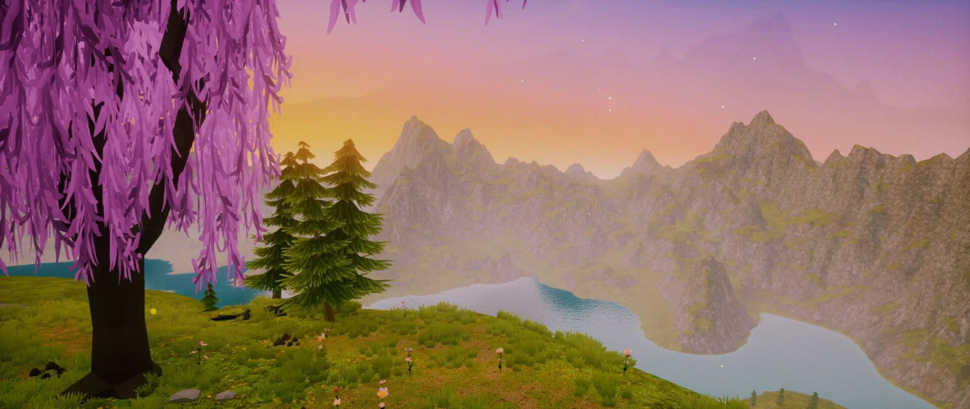 Paws And Soul Recenzja 3