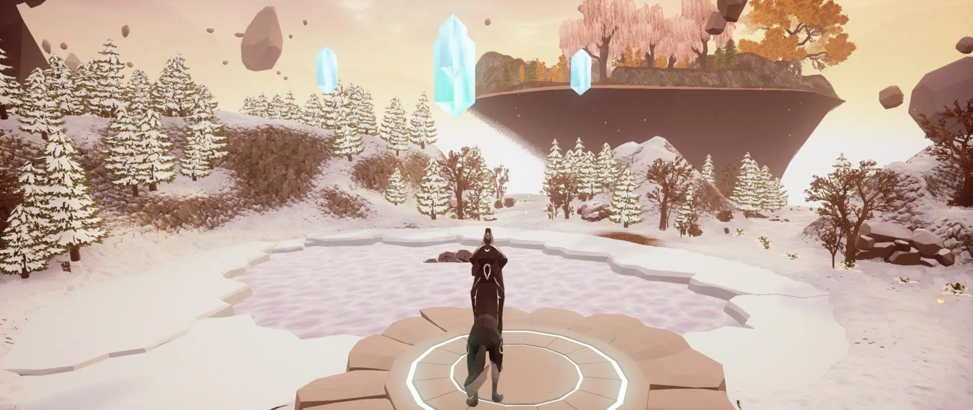 Paws and Soul recenzja 4 e1595621489902