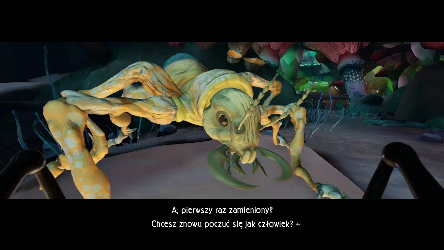 Metamorphosis Screen3