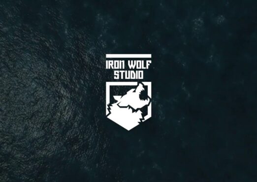 Iron Wolf Studio Newconnect