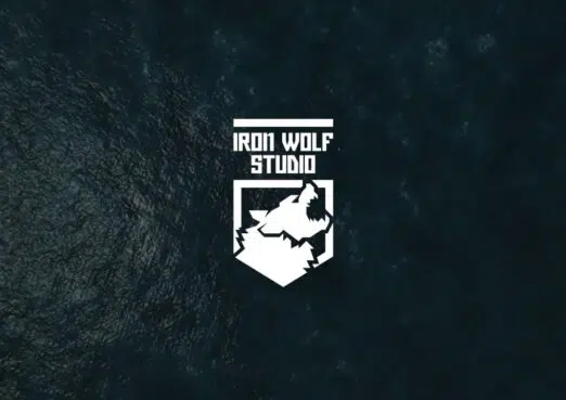 Iron Wolf Studio Newconnect