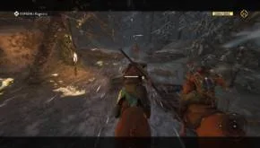 For Honor 20170216193256