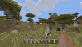 Minecraft 1.8.8 Biome Savanna 1