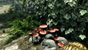 Skyrim Special Edition 1
