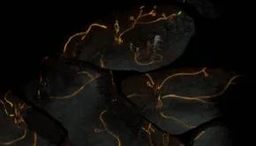 Torment Tides of Numenera - recenzja 15 Torment Tides of Numenera recenzja 8