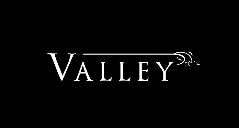 valley ps4